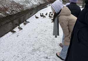 Dzieci dokarmiają kaczki nad rzeką Pabianką podczas zimowego spaceru świetlicowego w styczniu.