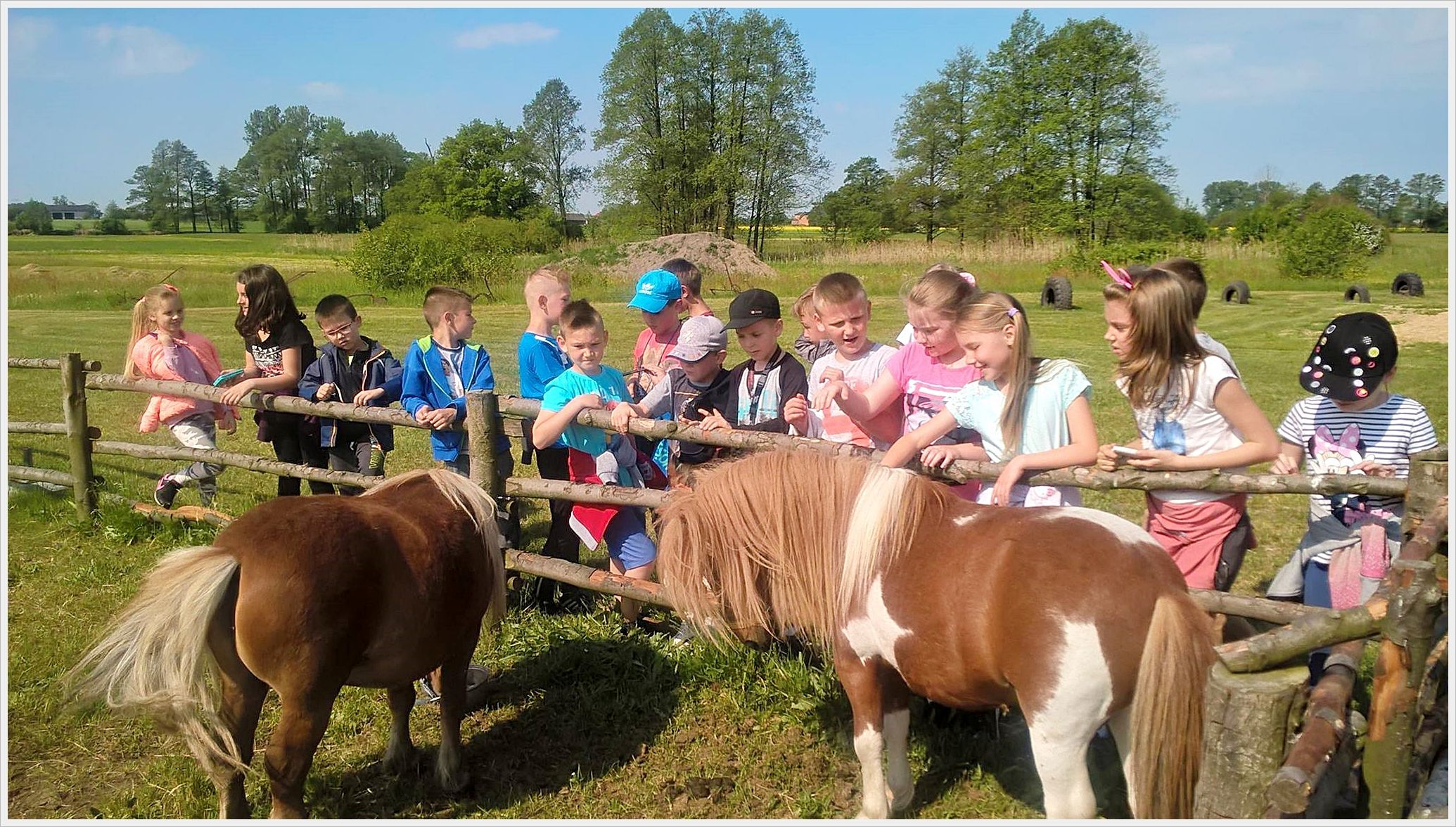 Wycieczka uczni&oacute;w klas młodszych do gospodarstwa rolnego. Grupa dzieci stoi przy drewnianym ogrodzeniu na pastwisku, obserwując i głaszcząc dwa małe kucyki. Dzieci są uśmiechnięte, ubrane w letnie ubrania i czapki z daszkiem, a w tle widać zielone łąki, drzewa i opony ustawione jako element placu zabaw. Scena odbywa się w słoneczny dzień na wsi, prawdopodobnie podczas wycieczki szkolnej do gospodarstwa agroturystycznego.