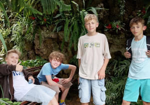 Czterech chłopców pozuje do zdjęcia w tropikalnej oranżerii. Dwóch z nich siedzi na ławce, a dwóch stoi na brukowanej ścieżce. W tle widać bujną zieleń, paprocie i egzotyczne rośliny rosnące na kamiennym murze.