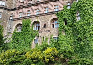 Zbliżenie na fasadę zamku Książ pokrytą bluszczem, z ozdobnymi oknami i kamienną elewacją. Na pierwszym planie znajduje się ogród z niskimi żywopłotami, wśród których spacerują dzieci i dorośli.