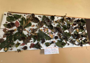 Praca plastyczna pt. „Jesienny dywan” stworzona z liści, szyszek, żołędzi i gałązek, przypiętych do dużej tablicy. Widoczna jest też kartka z nazwiskami autorów.