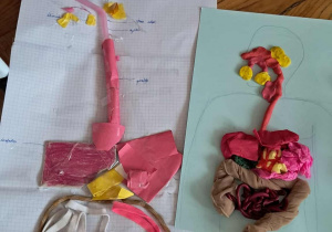 Dwa kolorowe, płaskie modele układu pokarmowego – z papieru i ze sznurka oraz z plasteliny i tkaniny – ułożone na rysunkach sylwetki człowieka.