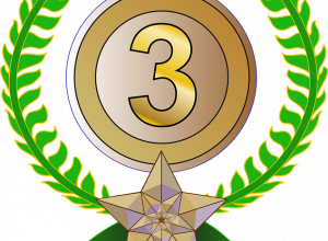 Miniatura przedstawiająca 3.